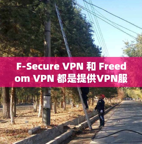 F-Secure VPN 和 Freedom VPN 都是提供VPN服务的网站，但它们有不同的特点和使用场景。以下是关于这两个平台的详细介绍