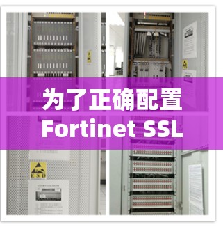 为了正确配置Fortinet SSL VPN，并成功连接客户端到服务器，以下是详细的步骤指南