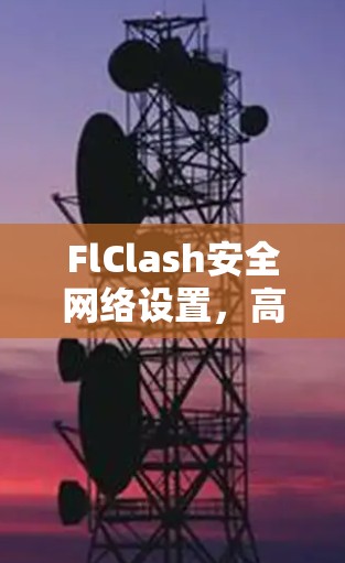 FlClash安全网络设置，高效传输与加密技术的未来解决方案